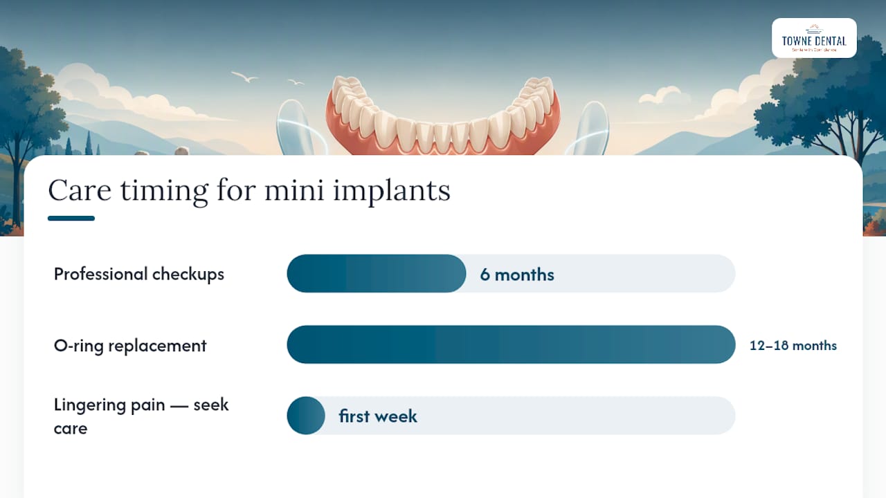 How Do You Care for Mini Dental Implants Long Term? — overview diagram