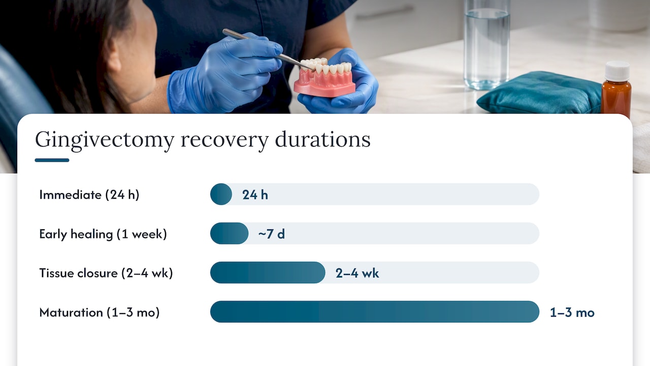 Recovery timeline and how to take care of your gums afterward — overview diagram
